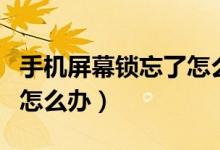手機屏幕鎖忘了怎么辦解鎖（手機屏幕鎖忘了怎么辦）