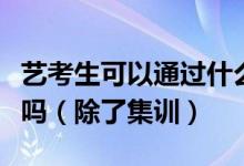 藝考生可以通過什么其他的方式提升一下自己?jiǎn)幔ǔ思?xùn)）