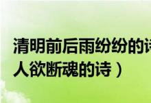 清明前后雨紛紛的詩（清明時節(jié)雨紛紛路上行人欲斷魂的詩）