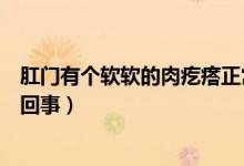 肛門有個(gè)軟軟的肉疙瘩正常嗎（肛門有個(gè)軟軟的肉疙瘩怎么回事）