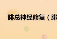 腓總神經修復（腓總神經能自我修復嗎）