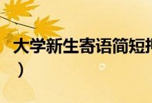 大學(xué)新生寄語(yǔ)簡(jiǎn)短押韻祝詞（新生開(kāi)學(xué)祝福語(yǔ)）