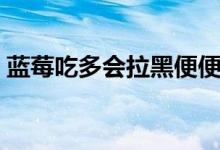 藍莓吃多會拉黑便便嗎（藍莓吃多會上火嗎）