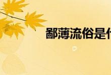 鄙薄流俗是什么意思（鄙?。?class=