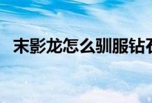 末影龍?jiān)趺瘩Z服鉆石龍（末影龍?jiān)趺瘩Z服）