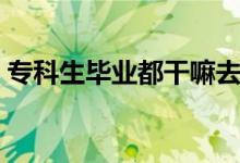 ?？粕厴I(yè)都干嘛去了（最好的出路是什么）