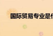 國際貿(mào)易專業(yè)是什么（能做什么工作）