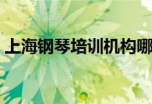 上海鋼琴培訓(xùn)機(jī)構(gòu)哪家好（怎么選擇培訓(xùn)班）