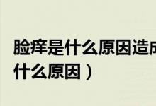 臉癢是什么原因造成的應該怎么解決（臉癢是什么原因）