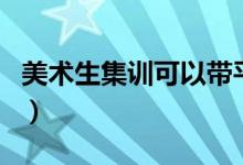 美術(shù)生集訓(xùn)可以帶平板嗎（可以用電子設(shè)備嗎）