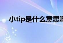 小tip是什么意思?。ㄐIP是什么意思）
