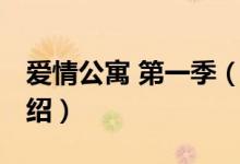 愛情公寓 第一季（關于愛情公寓 第一季的介紹）