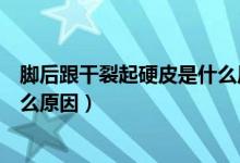 腳后跟干裂起硬皮是什么原因呢（腳后跟干裂、起硬皮是什么原因）