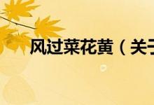 風(fēng)過菜花黃（關(guān)于風(fēng)過菜花黃的介紹）
