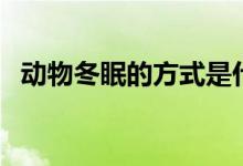 動物冬眠的方式是什么（動物冬眠的方式）