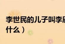 李世民的兒子叫李辰的小說(shuō)（李世民的兒子叫什么）