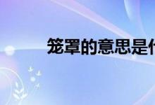 籠罩的意思是什么(籠罩的意思)