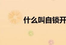 什么叫自鎖開關(guān)（什么叫自鎖）