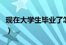 現(xiàn)在大學(xué)生畢業(yè)了怎樣找工作（能找什么工作）