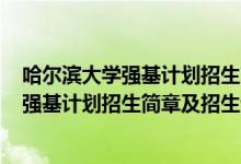 哈爾濱大學(xué)強(qiáng)基計(jì)劃招生簡章2021（哈爾濱工業(yè)大學(xué)2022強(qiáng)基計(jì)劃招生簡章及招生計(jì)劃）