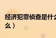 經(jīng)濟犯罪偵查是什么專業(yè)（經(jīng)濟犯罪偵查學什么）