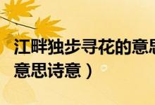 江畔獨步尋花的意思作業(yè)幫（江畔獨步尋花的意思詩意）