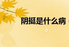 陰挺是什么?。幫κ鞘裁匆馑迹?class=