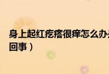 身上起紅疙瘩很癢怎么辦是什么病（身上起紅疙瘩很癢怎么回事）