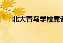 北大青鳥學(xué)校靠譜嗎（學(xué)出來有用嗎）