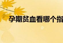 孕期貧血看哪個指標(biāo)（孕期貧血的危害）