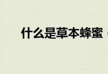 什么是草本蜂蜜（什么是草本歸嚴寧）