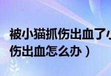 被小貓抓傷出血了小貓沒有狂犬?。ū恍∝堊鲅趺崔k）