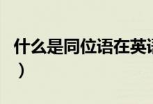 什么是同位語在英語當(dāng)中（什么是同位語從句）