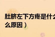 肚臍左下方疼是什么部位(肚臍左下方疼是什么原因)